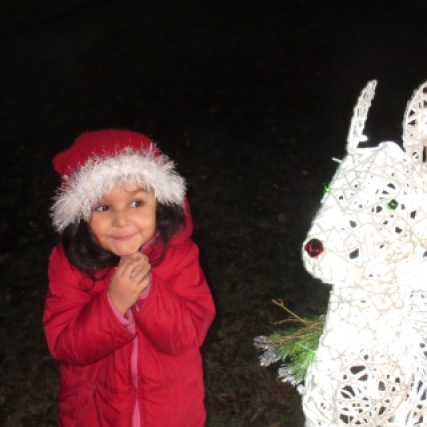 This look alone makes the light up deer worth it. She also insisted we put a red nose on him.